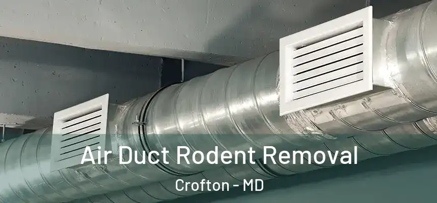  Air Duct Rodent Removal Crofton - MD