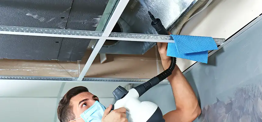 Our Air Duct Rodent Removal Services in Crofton, MD
