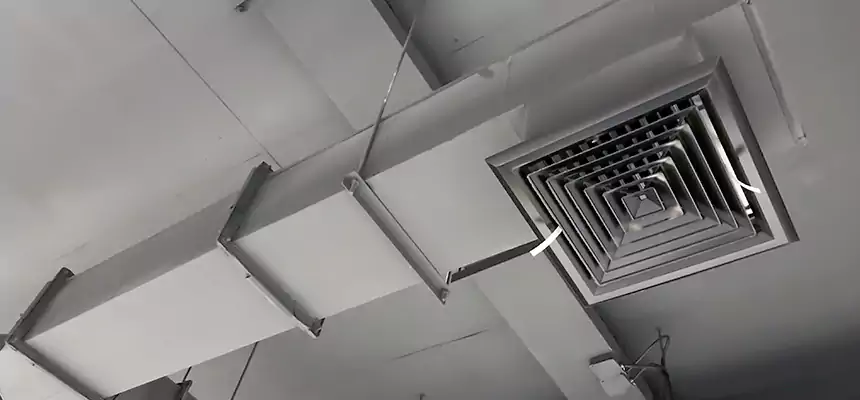 Our Rodent Droppings In Vents Services in Crofton, MD