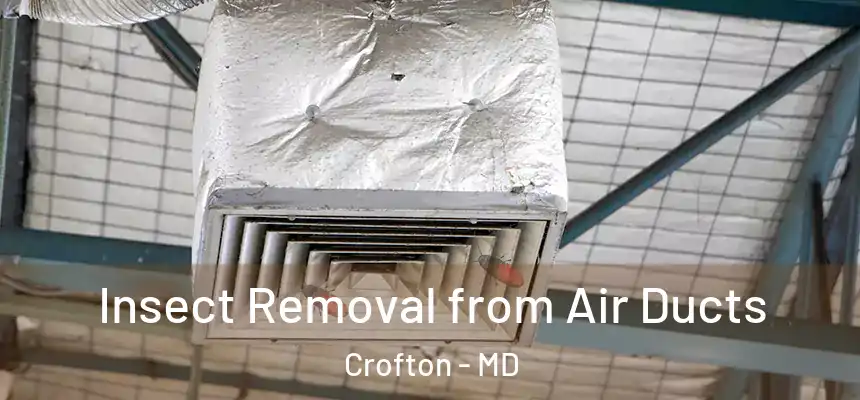  Insect Removal from Air Ducts Crofton - MD