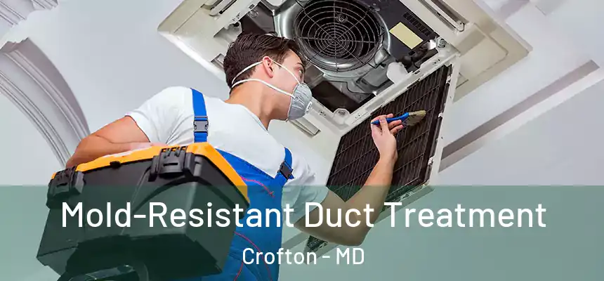  Mold-Resistant Duct Treatment Crofton - MD