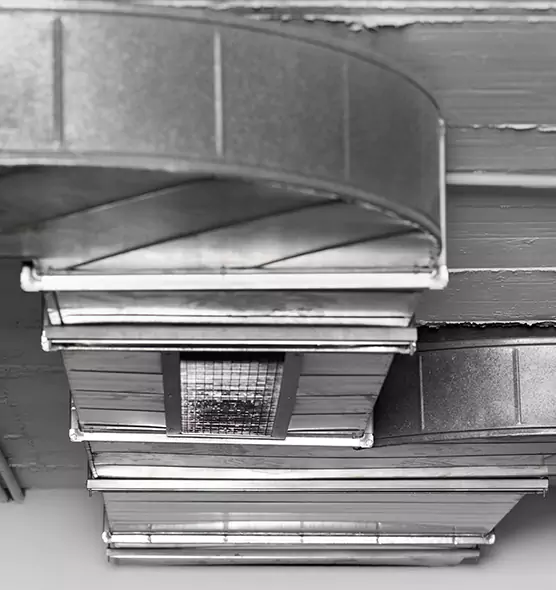 Professional Air Duct Pest Removal in Crofton, MD