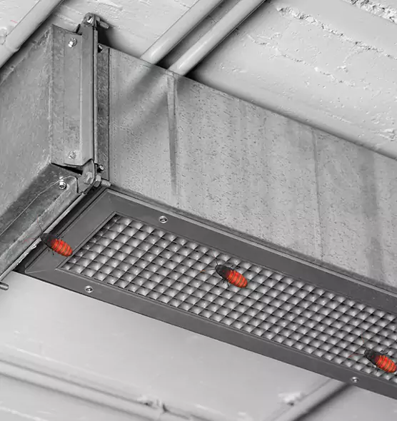 Affordable Insect Removal from Air Ducts in Crofton, MD